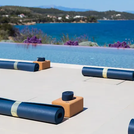 Villa Olea - Luxury With Swimming Pool, Tennis Court & Volley *