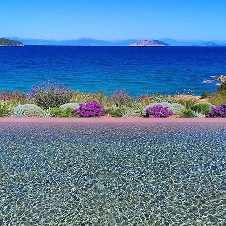 Villa Olea - Luxury With Swimming Pool, Tennis Court & Volley *